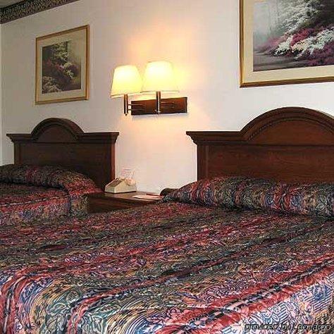 San Jose Lodge 비스비 객실 사진